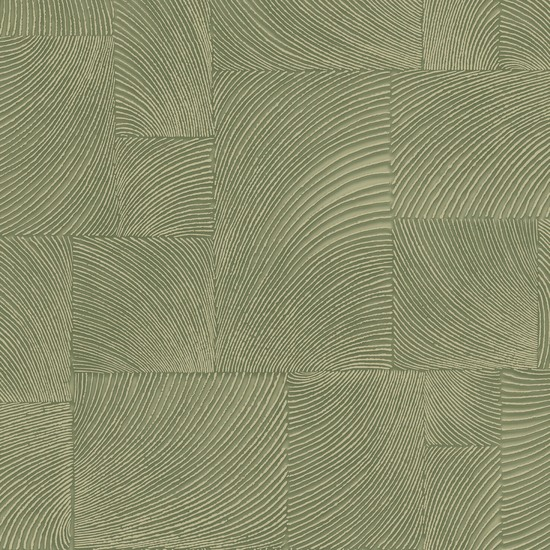 Arashi, vista 2